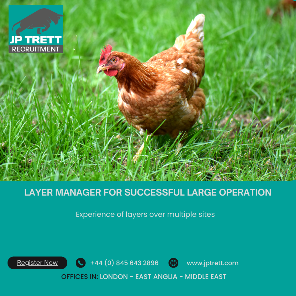 Layer Manager Fieldsman Fields person